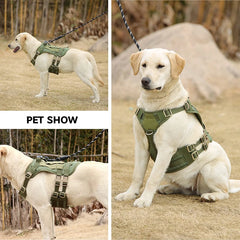 Comfort Paws: The Ultimate Dog Harness for Fun and Safe Walks