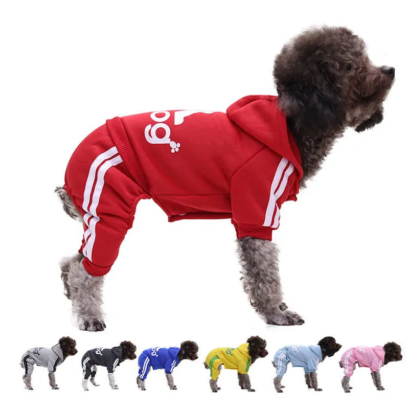 Adidog Clothes