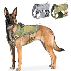 Comfort Paws: The Ultimate Dog Harness for Fun and Safe Walks