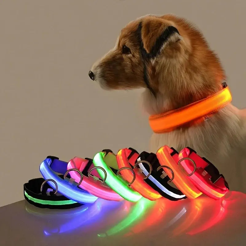 Illuminate Safety with Our Glowing Dog Collar